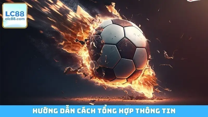 Hướng dẫn cách tổng hợp thông tin